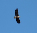 lauwersmeer