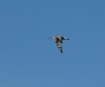 lauwersmeer
