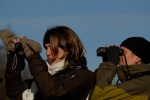 lauwersmeer