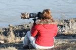 lauwersmeer