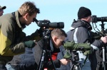 Lauwersmeer